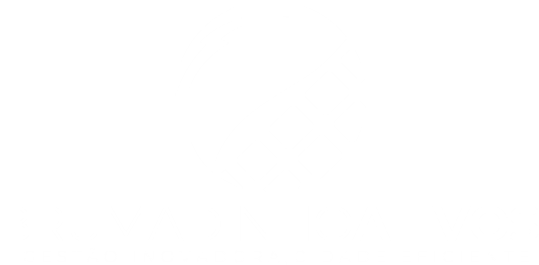 Brumadinho Ativos S/A